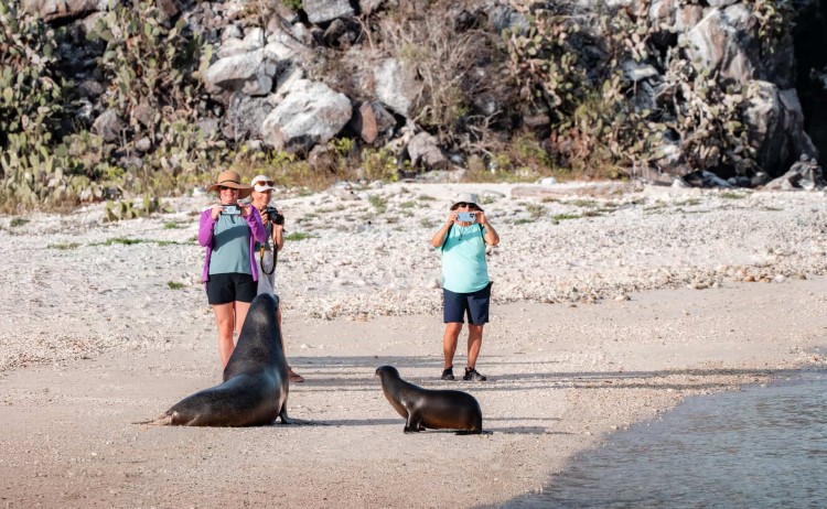 Isla Genovesa, Galapagos Island