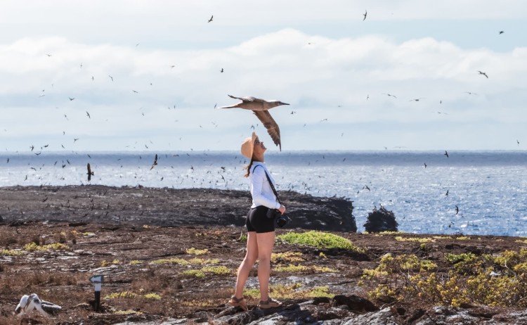 Isla Genovesa Galapagos