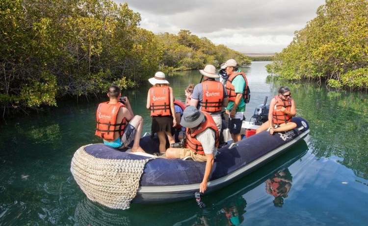 Endemic zodiac excursion