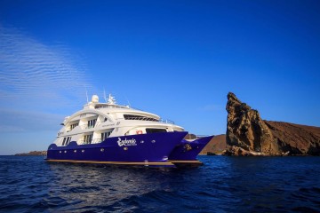 Galapagos: Endemic | 8 days luxury