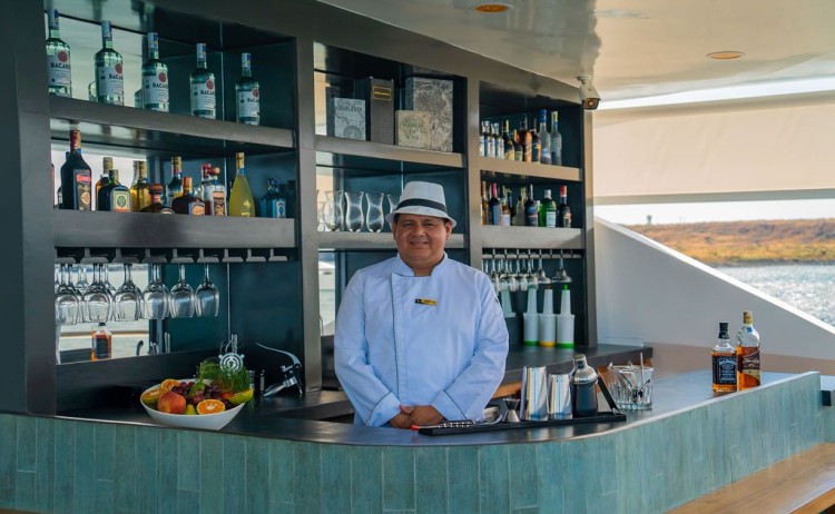 Endemic terrace upper deck bar