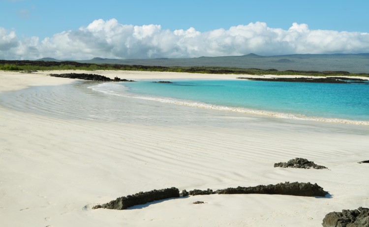 Galapagos Beach