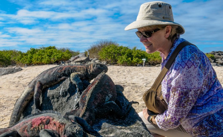 Wildlife Encounter Galapagos
