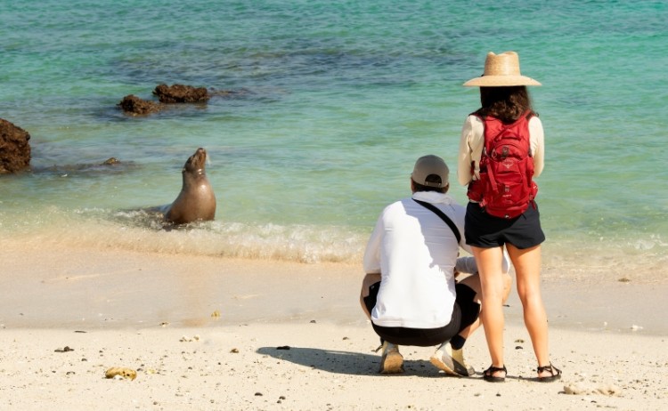 South America Ecuador Galapagos Islands Galapagos Explorer wildlife spotting sea lions 5 Low Resolution Width3000px