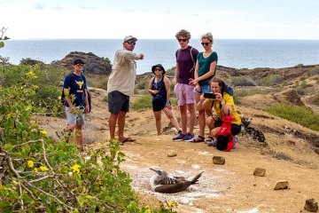 Galapagos: Galapagos Angel | 5 days