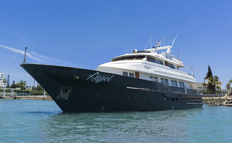 galapagos angel cruise Royal Galapagos