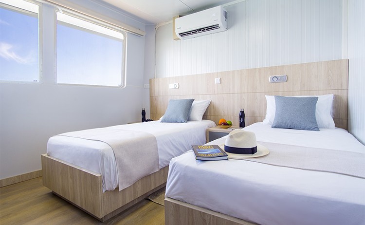 galapagos angel twin cabin1 Royal Galapagos