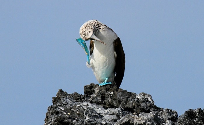 shutterstock 1947285289