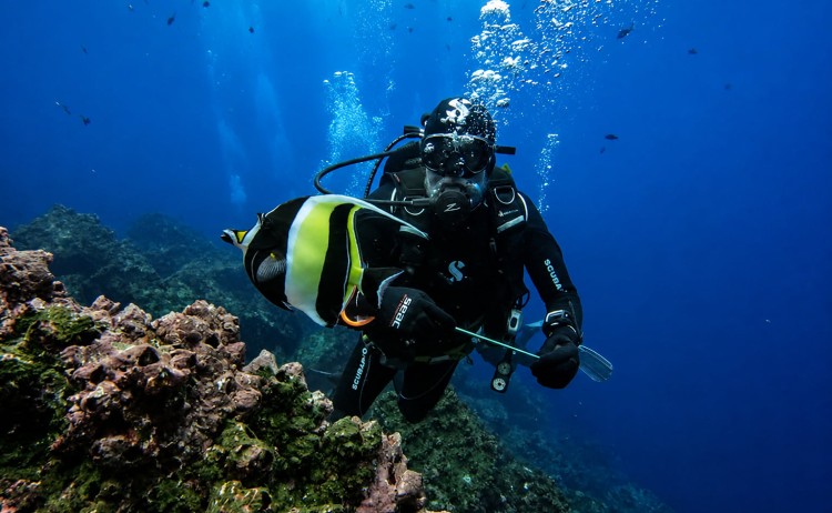 Galaxy Diver II diver and the vibrant marine life of Galapagos
