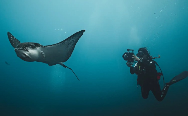 Galapagos Santiago island diver lll