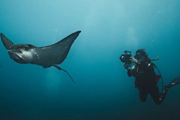 Galapagos: Galaxy Diver III | 8 days Diving