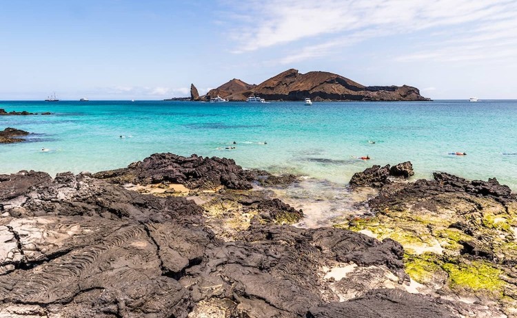 Galapagos galaxy Sirius snorkelling site with
