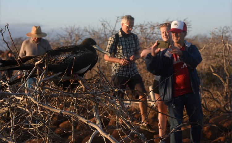 hiking2 galaxy sirius