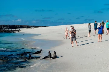 Galapagos: Galaxy Stella I Western Route 8 days 
