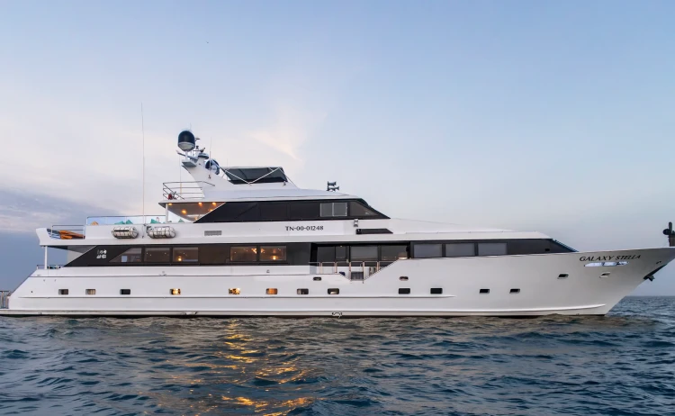 stella galaxy cruise exterior up