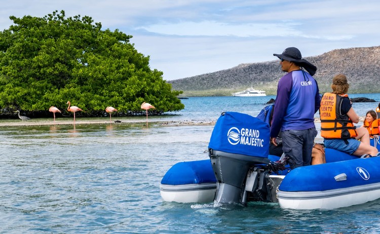 Gmajestic panga ride