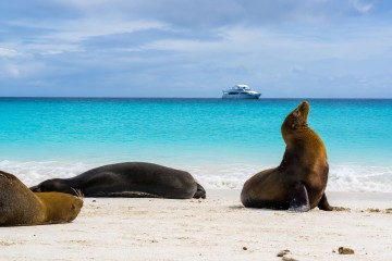 Galapagos: Grand Majestic | 4 days