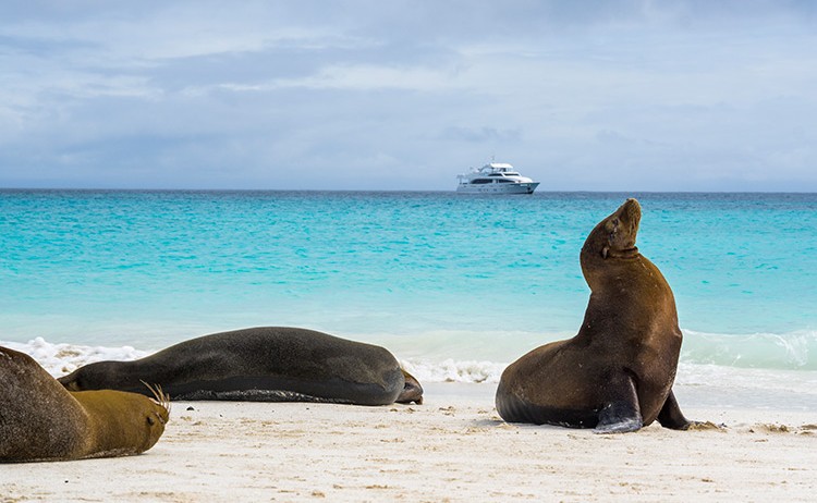 gmajestic exp excursion6 Royal Galapagos