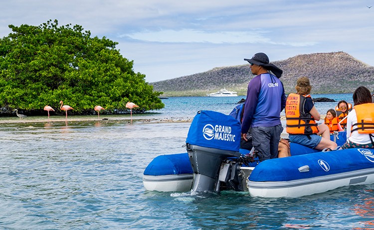 gmajestic exp panga ride2 Royal Galapagos