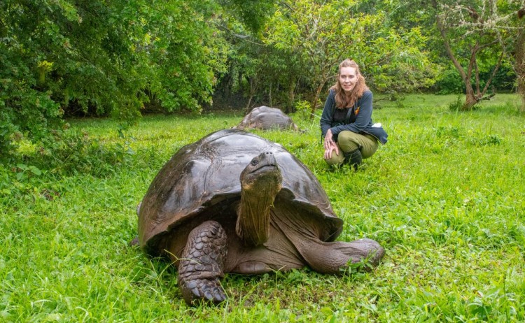 Galapagos GIant Tortoise
