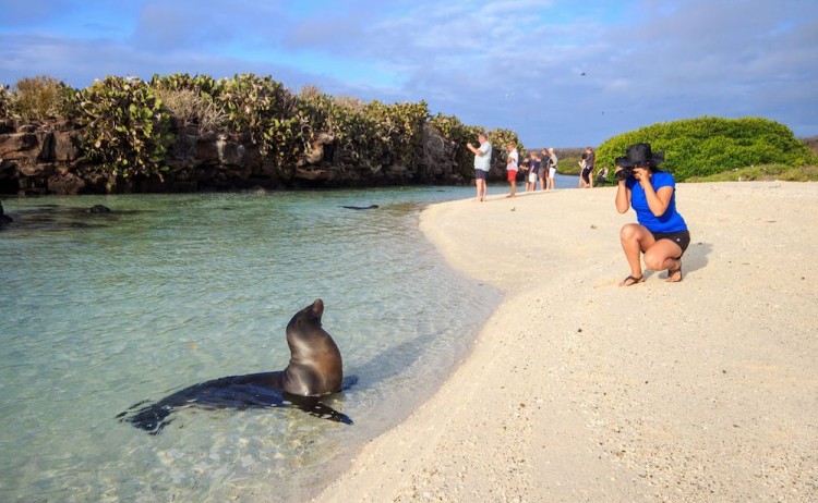 Guest in Galapagos taking photo of seal upclose