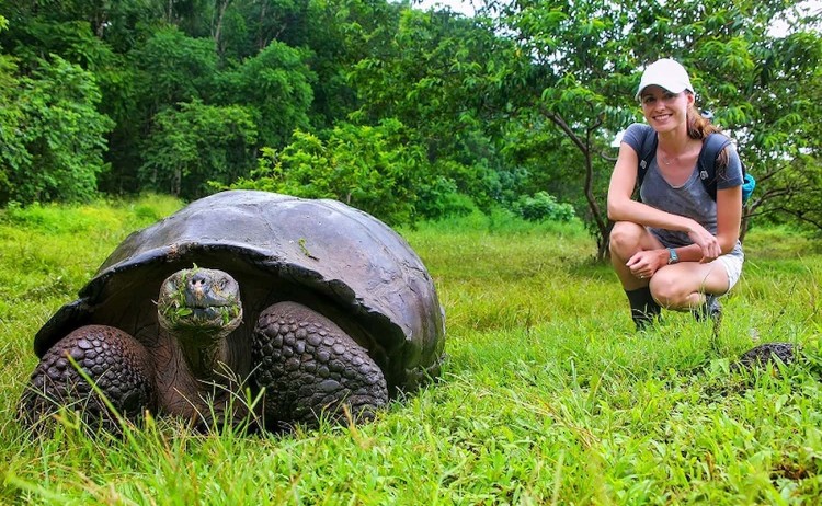 Galapagos Tortoise