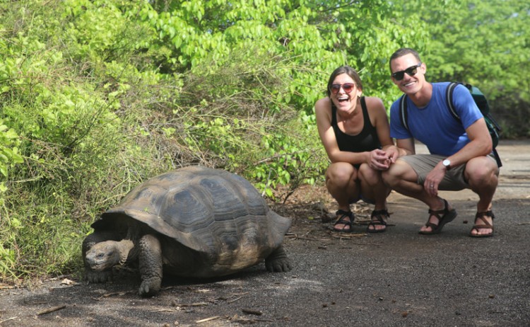 friendly animals Royal Galapagos
