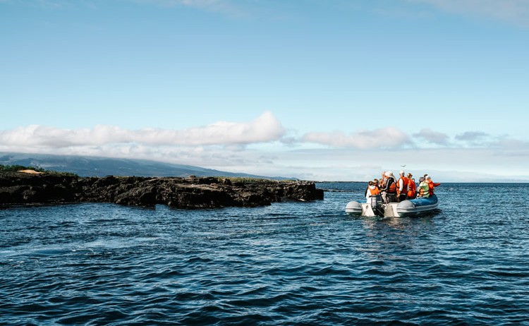 panga ride Royal Galapagos
