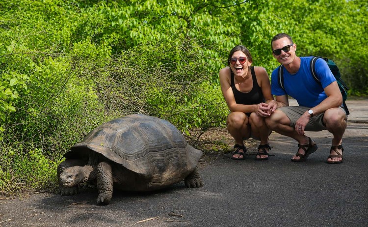 Infinity cruise the iconic giant Tortoise in the Galapagos