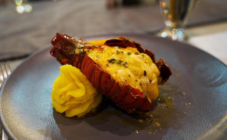 dining Royal Galapagos