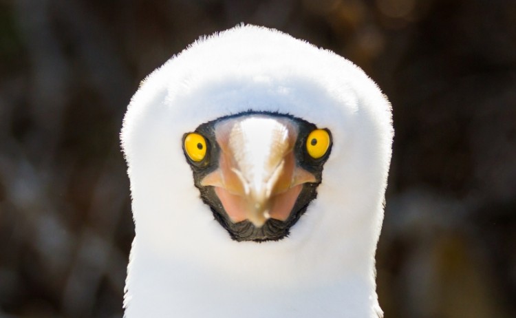 shutterstock 1037311192