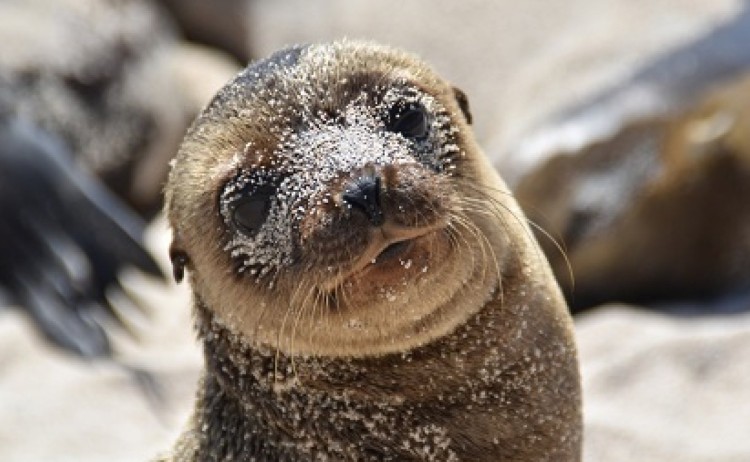 shutterstock 2267289229 v2