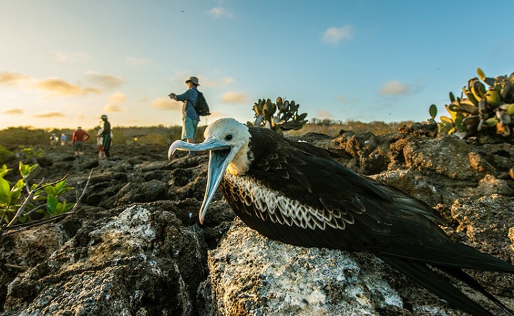 darwin bay galapagos islands 1