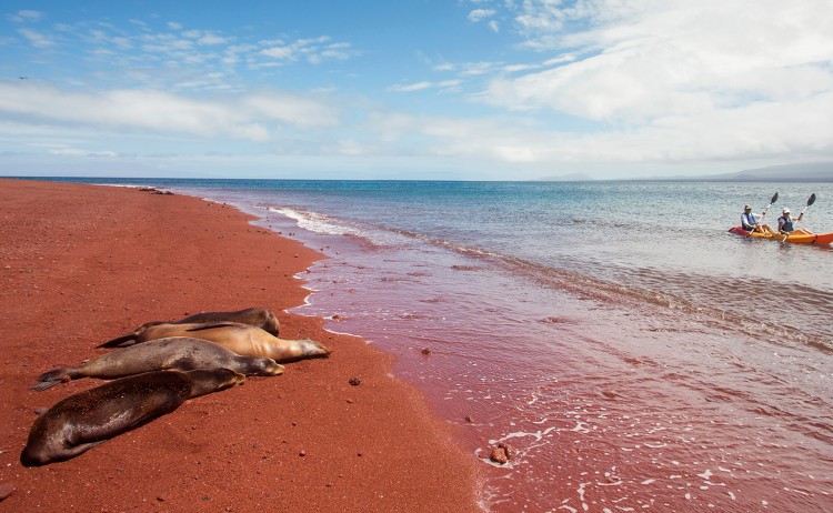 kayaking red beach rabida island galapagos islands metro