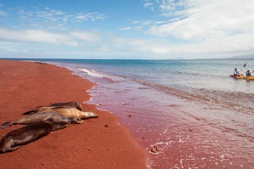 Galapagos: Isabela II | 5 days Northern