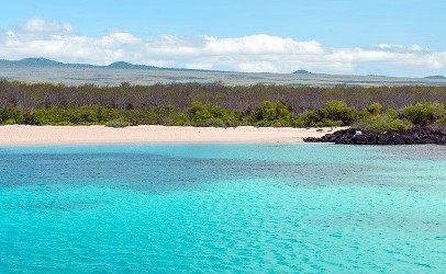 shutterstock 2018411780