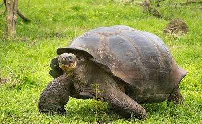 shutterstock 297397493