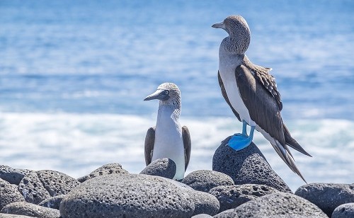 shutterstock 633048452