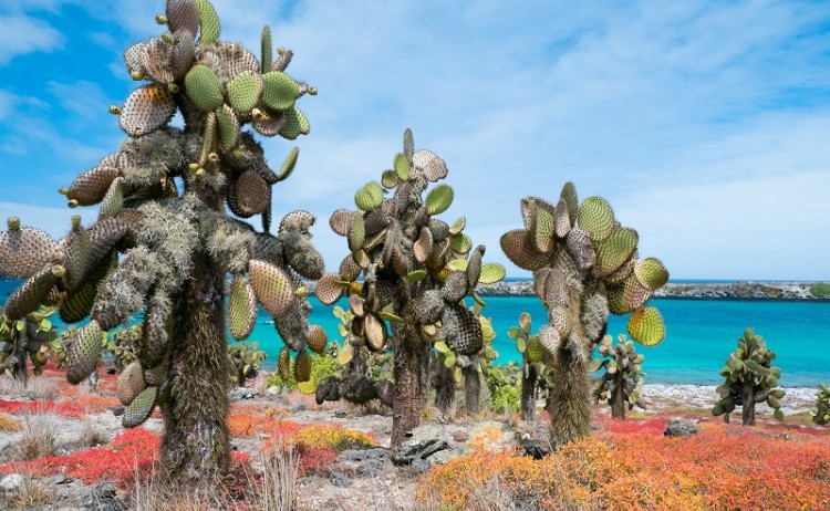 shutterstock 136326287 800