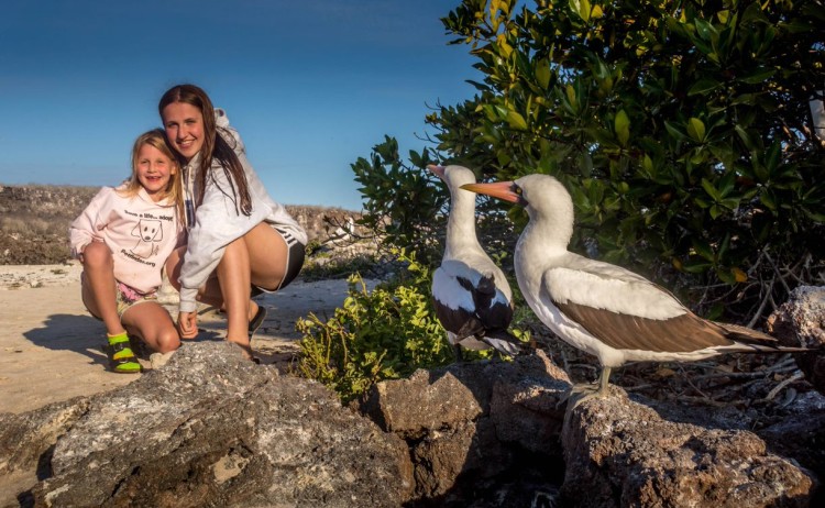 Bahia Darwin Genovesa 11 Metro