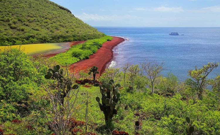 Galapagos Island