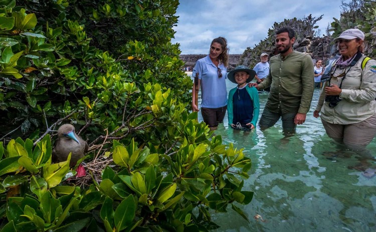 red footed booby people exploring galapagos islands ecuador v2