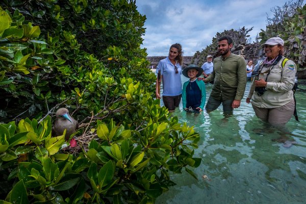 Tourists observing a red footed booby