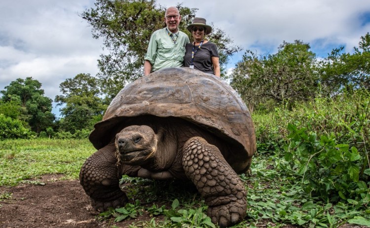 Parte Alta Santa Cruz 27 Metro