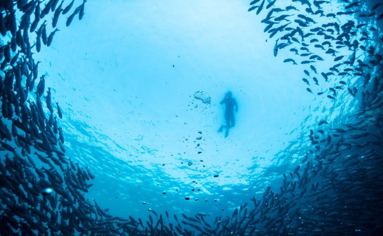 Yacht La Pinta Snorkeling 1