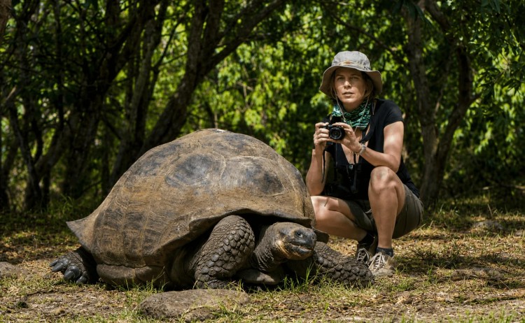 Legend Galapagos cruise encounter of iconic Giant tortoise