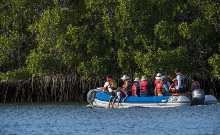 galapagosislands santacruz5 Go Galapagos