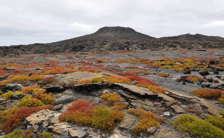 Galapagos Volcanic landscape