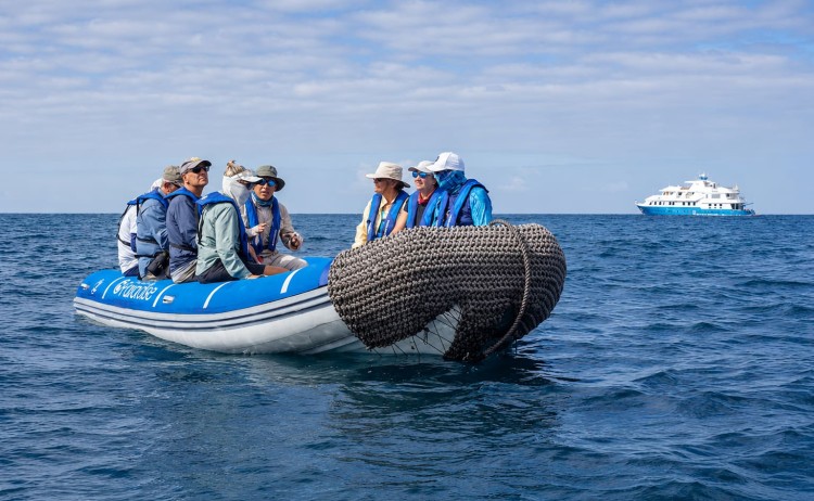 nparadise exp panga ride Royal Galapagos