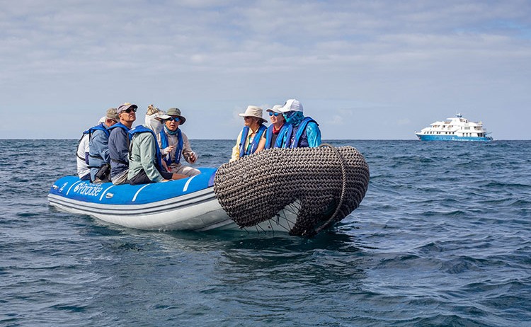 nparadise exp panga ride Royal Galapagos